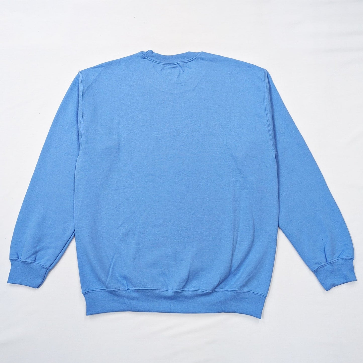 YES SAUNARIAN SWEATSHIRT [BLUE]